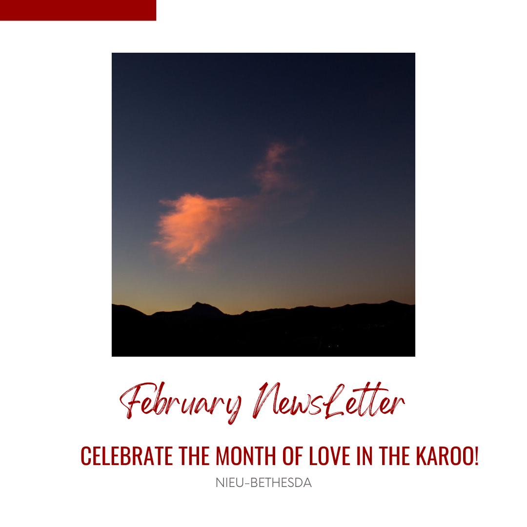 FEBRUARY  2023 NEWSLETTER